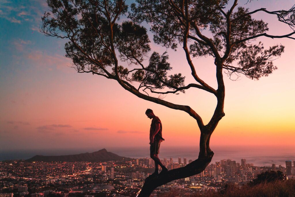 Silhouette of a man standing in a tree overlooking Honolulu, Hawaii during a vibrant sunset.