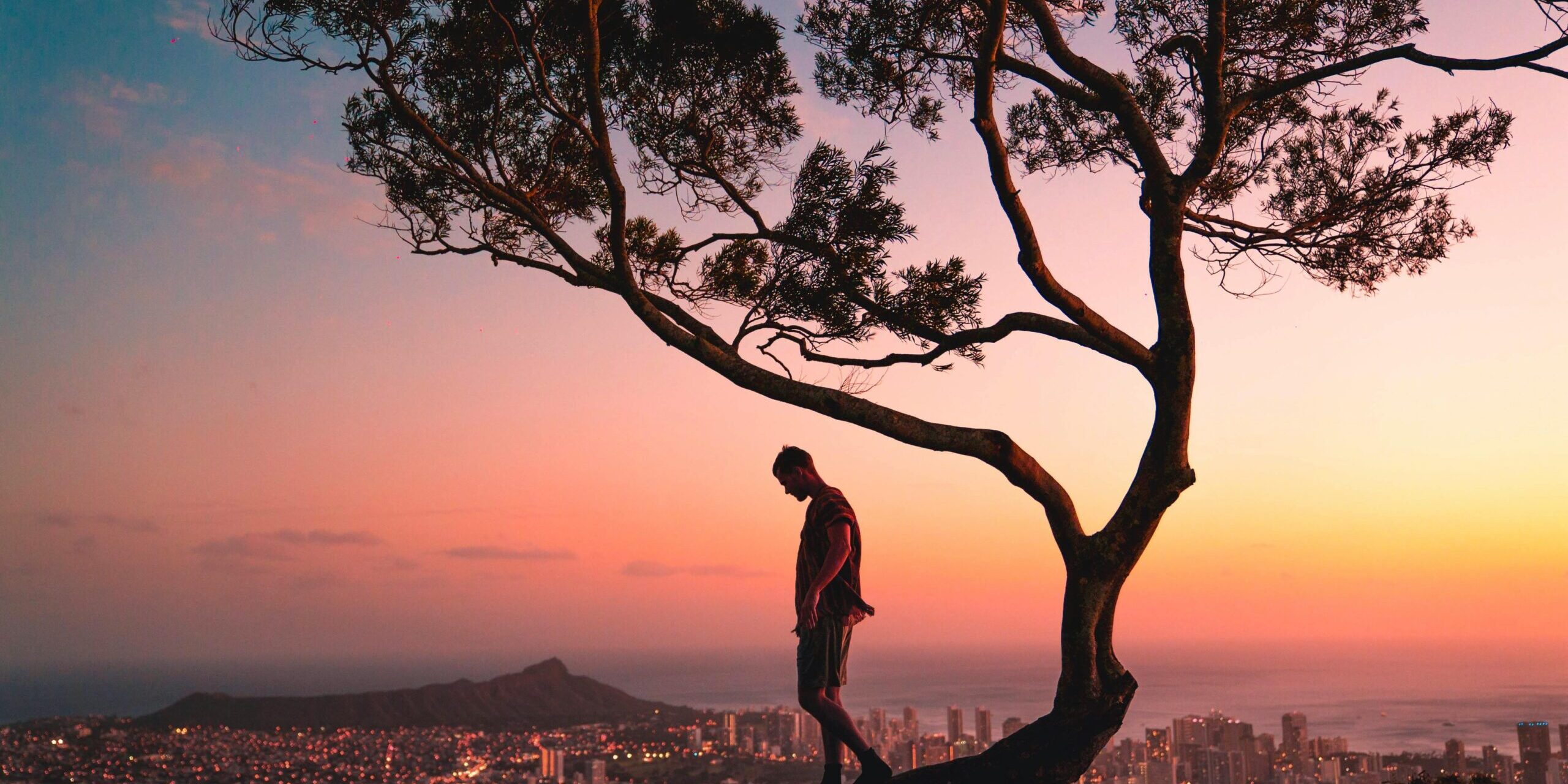Silhouette of a man standing in a tree overlooking Honolulu, Hawaii during a vibrant sunset.